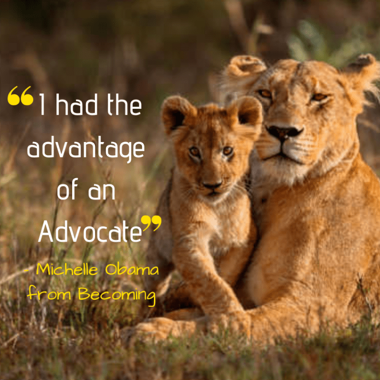 i had the advantage of an advocate