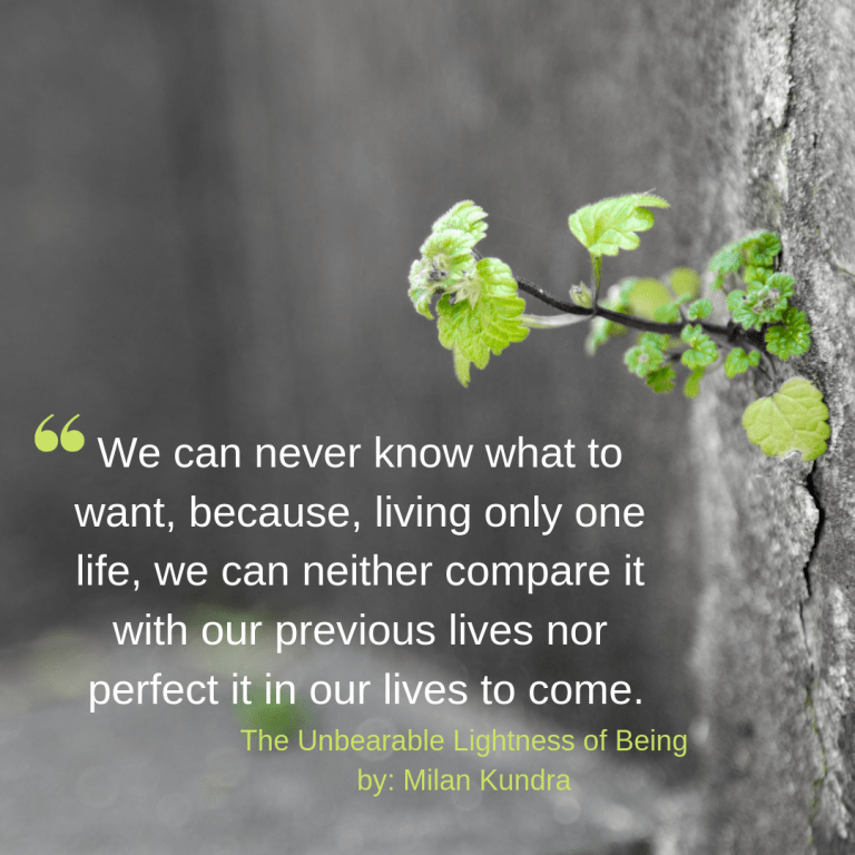 We can never know what to want, because, living only one life, we can either compare it with our previous lives nor perfect it in our lives to come.png