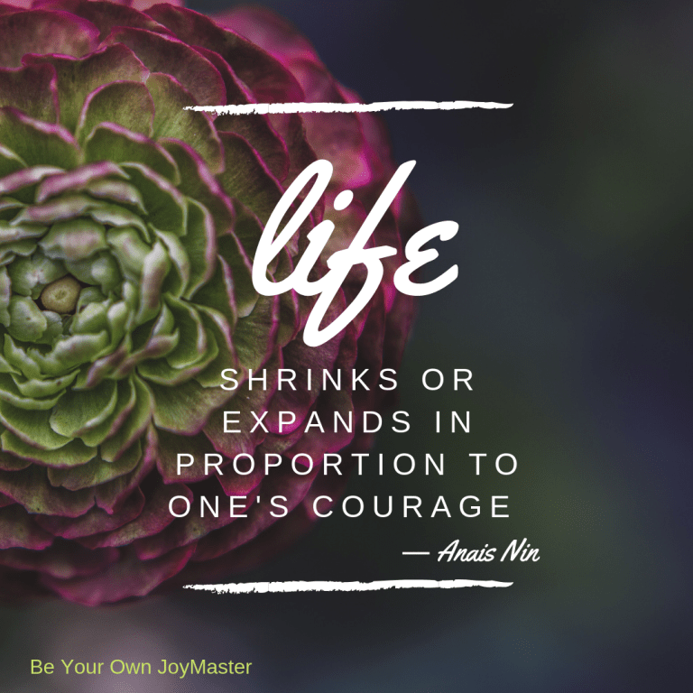 JoyMaster Lisa Anais Nin Quote Courage